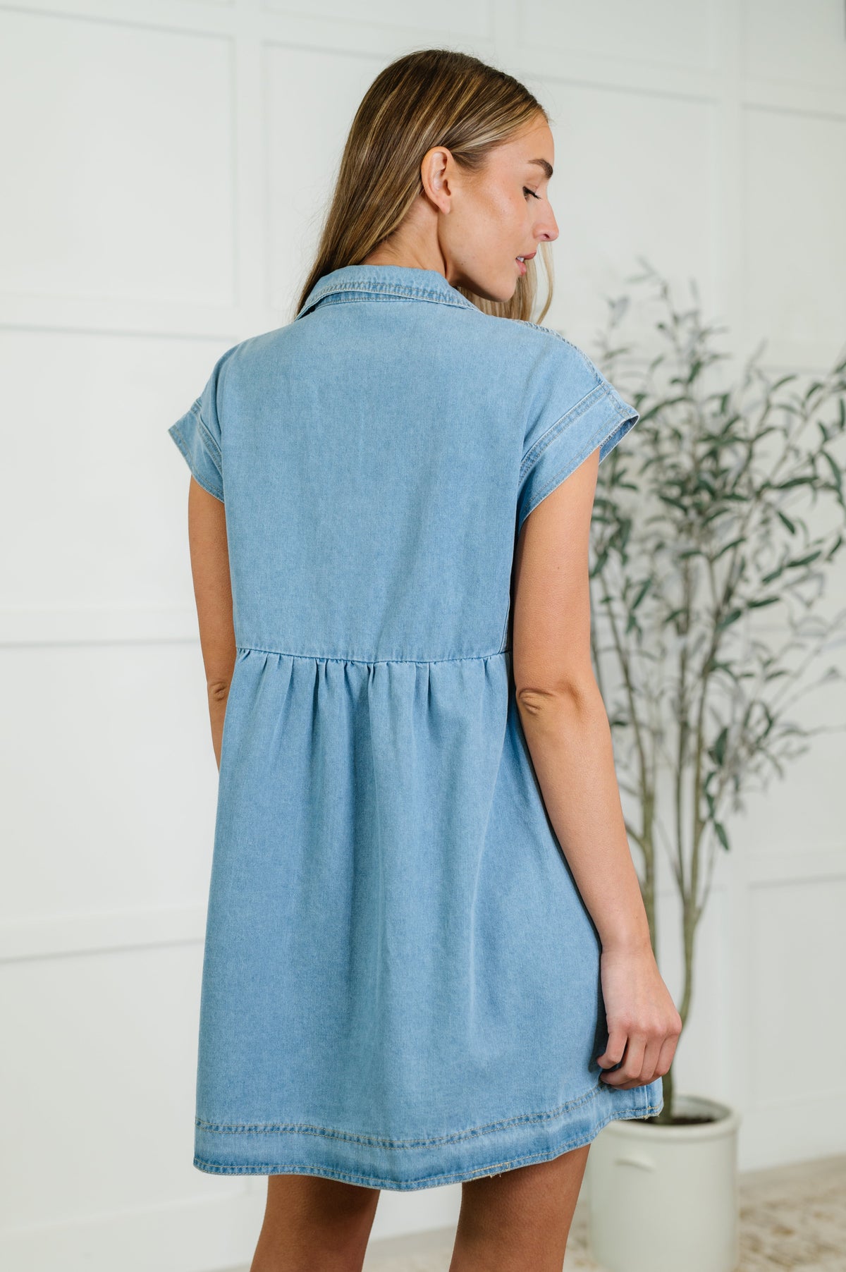 First Rodeo Denim Dress