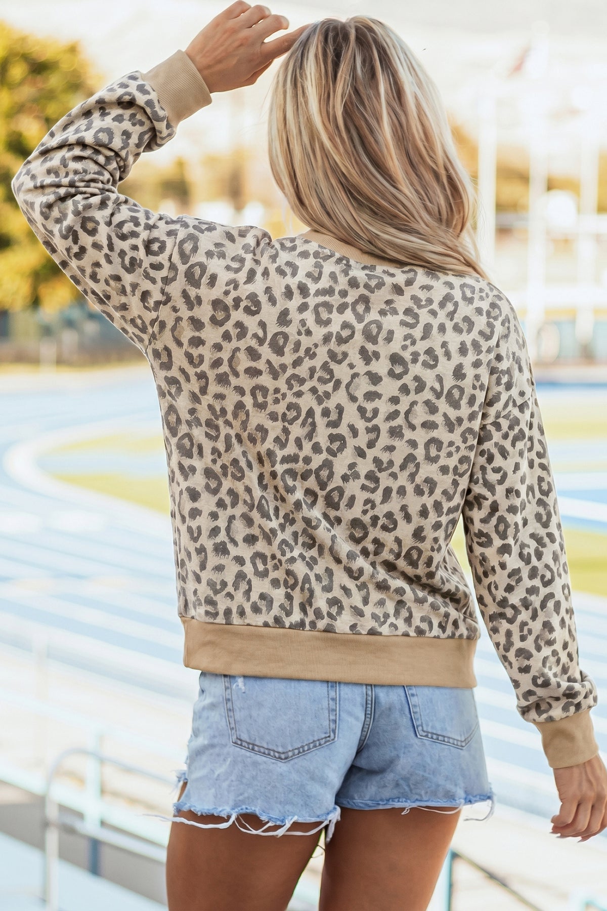Leopard Print Mock Neck Long-Sleeve Top with Ribbed Trim